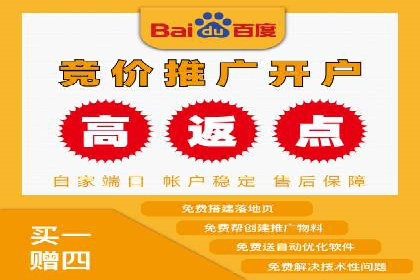 百度竞价代运营实战案例分析